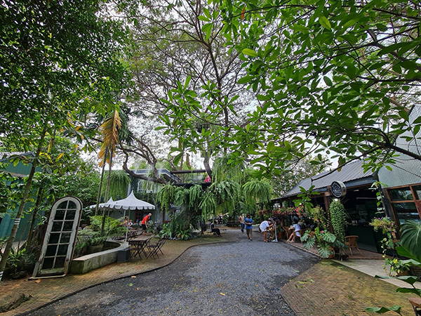 10 ที่เที่ยวปทุมธานี แหล่งท่องเที่ยวใกล้กรุง ขับรถเที่ยวชิลๆ