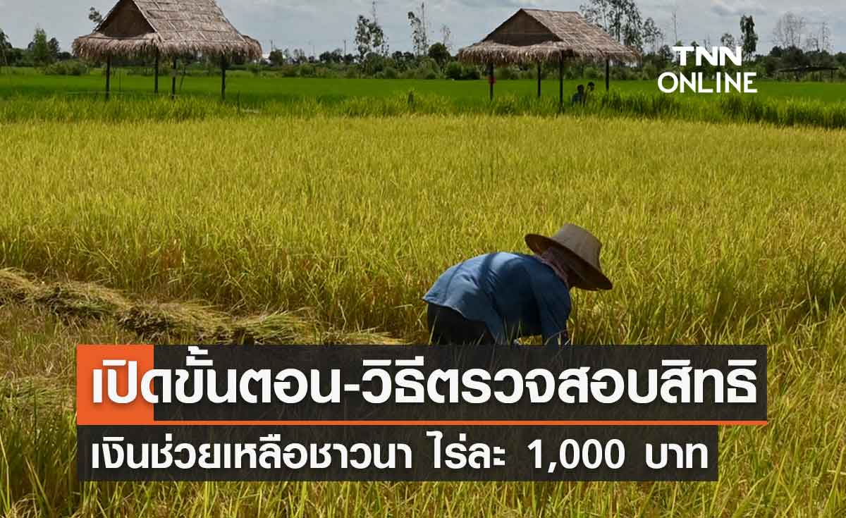 เปิดขั้นตอน-วิธีตรวจสอบสิทธิ เงินช่วยเหลือชาวนา ไร่ละ 1,000 บาท