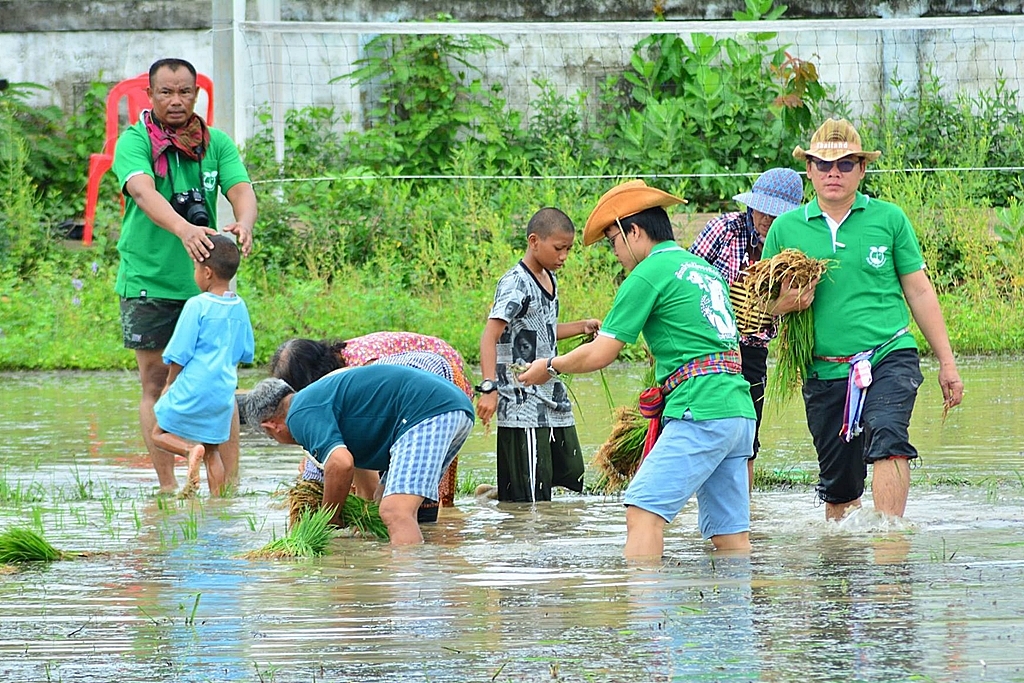 “โรงเรียนบ้านแสนสุข” โมเดลความสำเร็จโครงการเลี้ยงไก่ไข่เพื่ออาหารกลางวัน