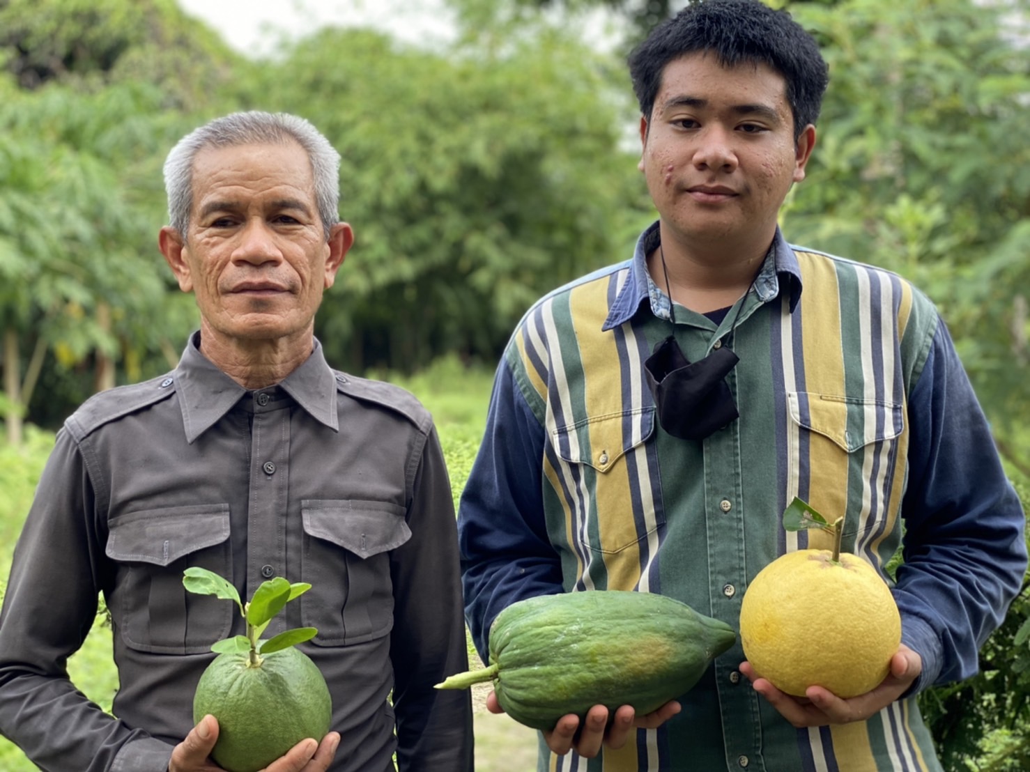 สหกรณ์พัฒนาชีวิตชาวหุบกะพง เดินตามหลักปรัชญาเศรษฐกิจพอเพียง ฝ่าวิกฤตโควิดอย่างไม่ลำบาก สหกรณ์พัฒนาชีวิตชาวหุบกะพง เดินตามหลักปรัชญาเศรษฐกิจพอเพียง ฝ่าวิกฤตโควิดอย่างไม่ลำบาก