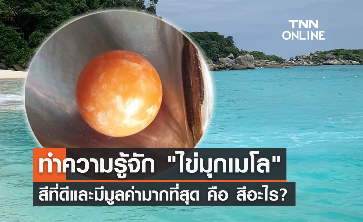 "ไข่มุกเมโล" เกิดจากอะไร สีที่ดีและมีมูลค่ามากที่สุด คือ สีนี้?