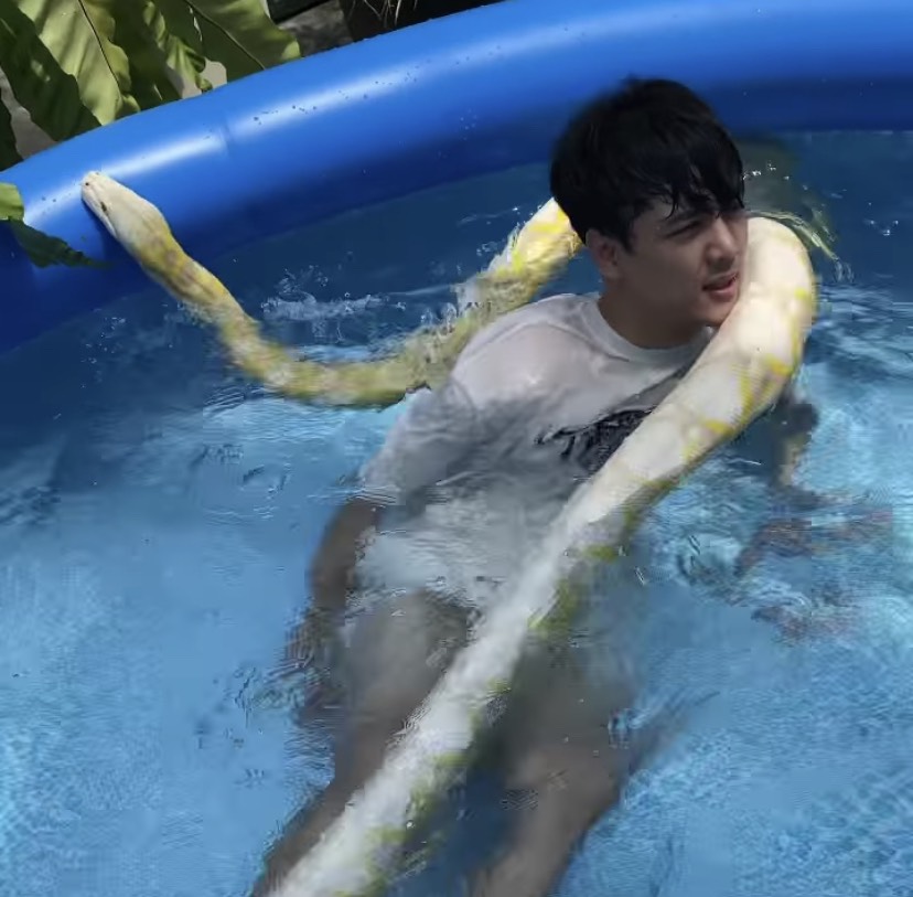 ขนลุก (คลิป) นิกกี้ ณฉัตร ทำไปได้พกงูเหลือมลงสระน้ำ ขนลุก (คลิป) นิกกี้ ณฉัตร ทำไปได้พกงูเหลือมลงสระน้ำ