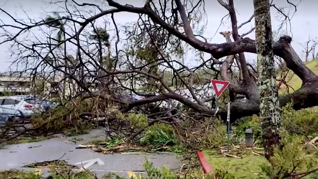 อัปเดตเส้นทาง “พายุไต้ฝุ่นมาวาร์” อ่อนกำลังเป็นโซนร้อน-ญี่ปุ่นอพยพหลายหมื่น อัปเดตเส้นทาง “พายุไต้ฝุ่นมาวาร์” อ่อนกำลังเป็นโซนร้อน-ญี่ปุ่นอพยพหลายหมื่น