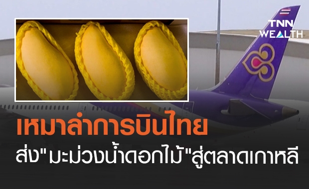 เหมาลำการบินไทยส่ง "มะม่วงน้ำดอกไม้" สู่เกาหลีใต้