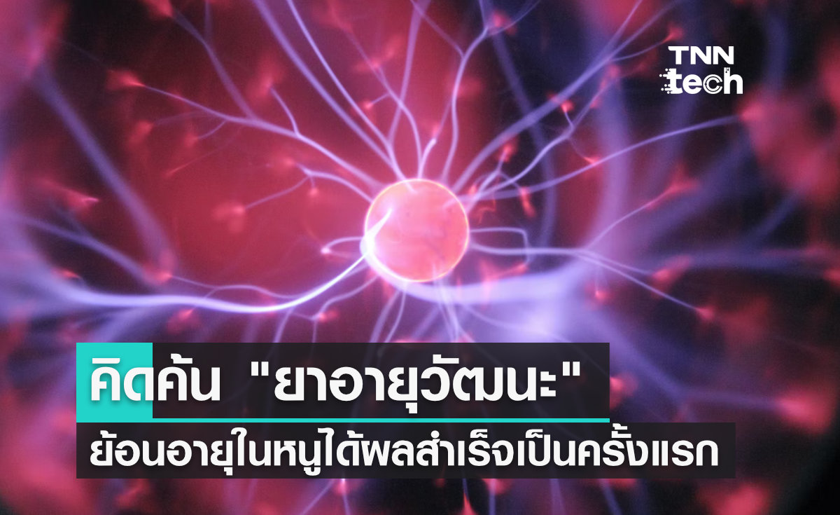 นักวิทย์ฯ คิดค้น "ยาอายุวัฒนะ" และทดลองในหนูได้ผลสำเร็จเป็นครั้งแรก