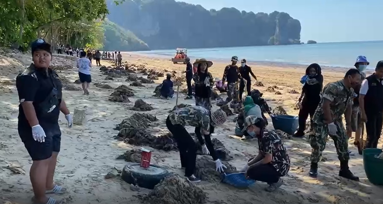 โผล่อีก! สาหร่ายทะเล ถูกคลื่นซัดหาดอ่าวนาง โผล่อีก! สาหร่ายทะเล ถูกคลื่นซัดหาดอ่าวนาง