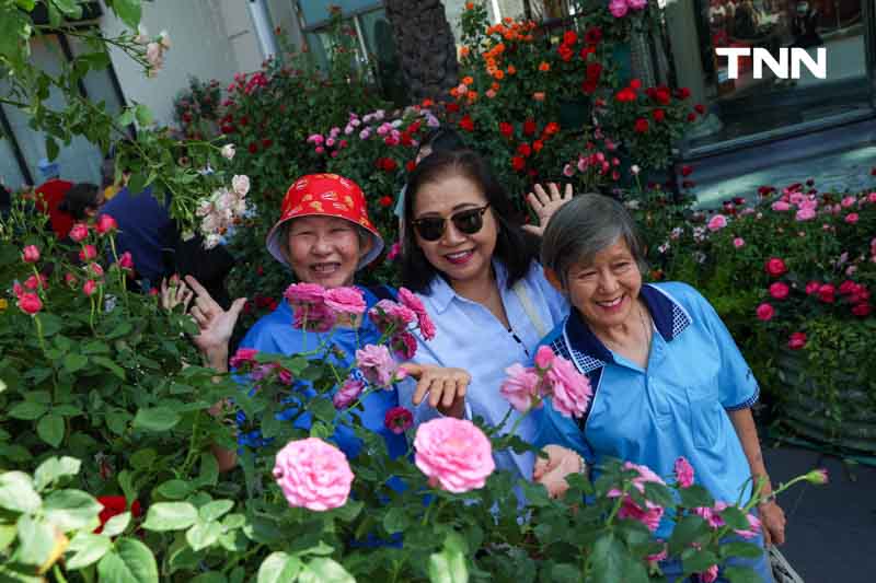 ยลโฉมกุหลาบ 260 สายพันธุ์ เนรมิตสวนกุหลาบใจกลางกรุงเทพ ยลโฉมกุหลาบ 260 สายพันธุ์ เนรมิตสวนกุหลาบใจกลางกรุงเทพ