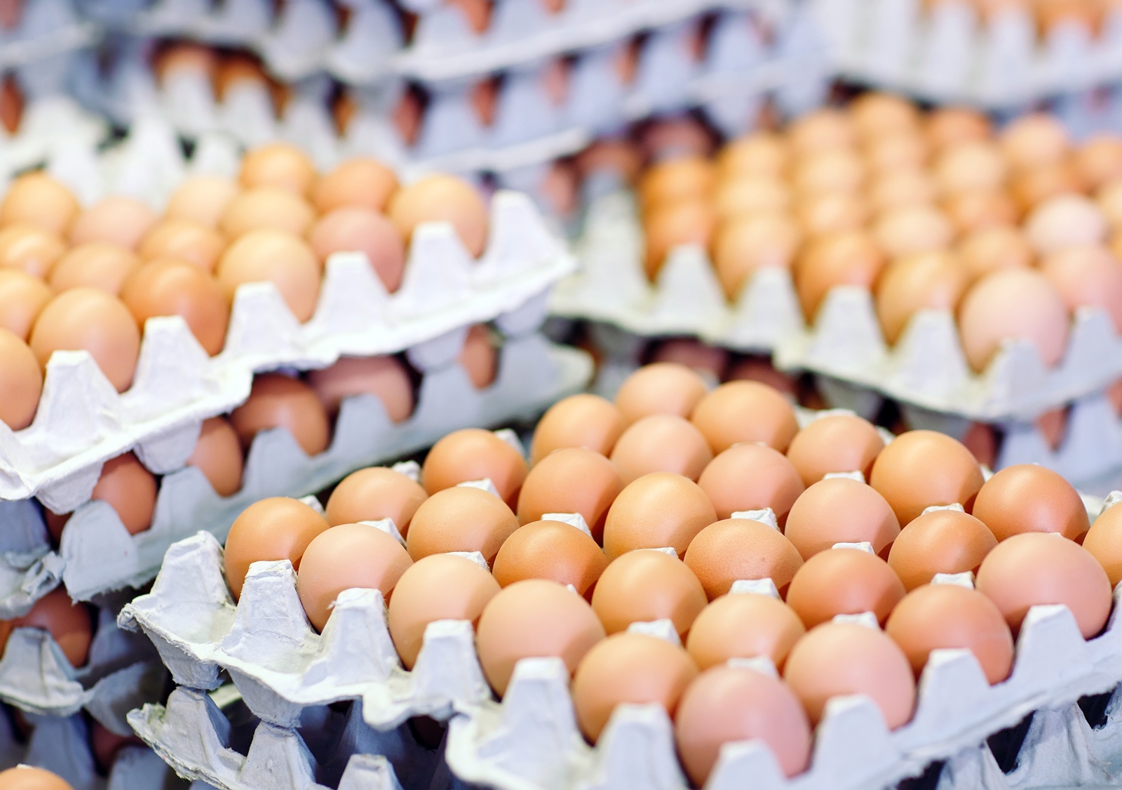 วิธีเลือกซื้อและรับประทานอาหารอย่างปลอดภัย ในฤดูร้อน วิธีเลือกซื้อและรับประทานอาหารอย่างปลอดภัย ในฤดูร้อน