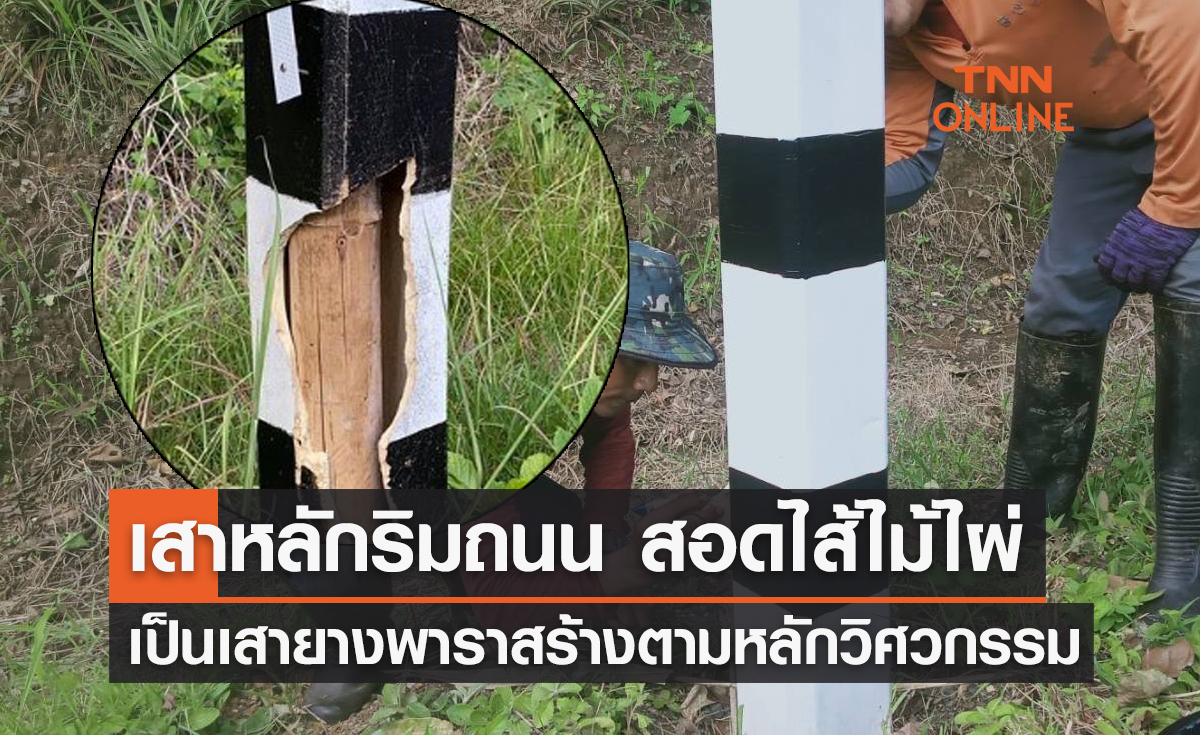ชี้แจงแล้ว! เสาหลักริมถนน สอดไส้ "ไม้ไผ่" เป็นเสายางพารา สร้างตามหลักวิศวกรรม 