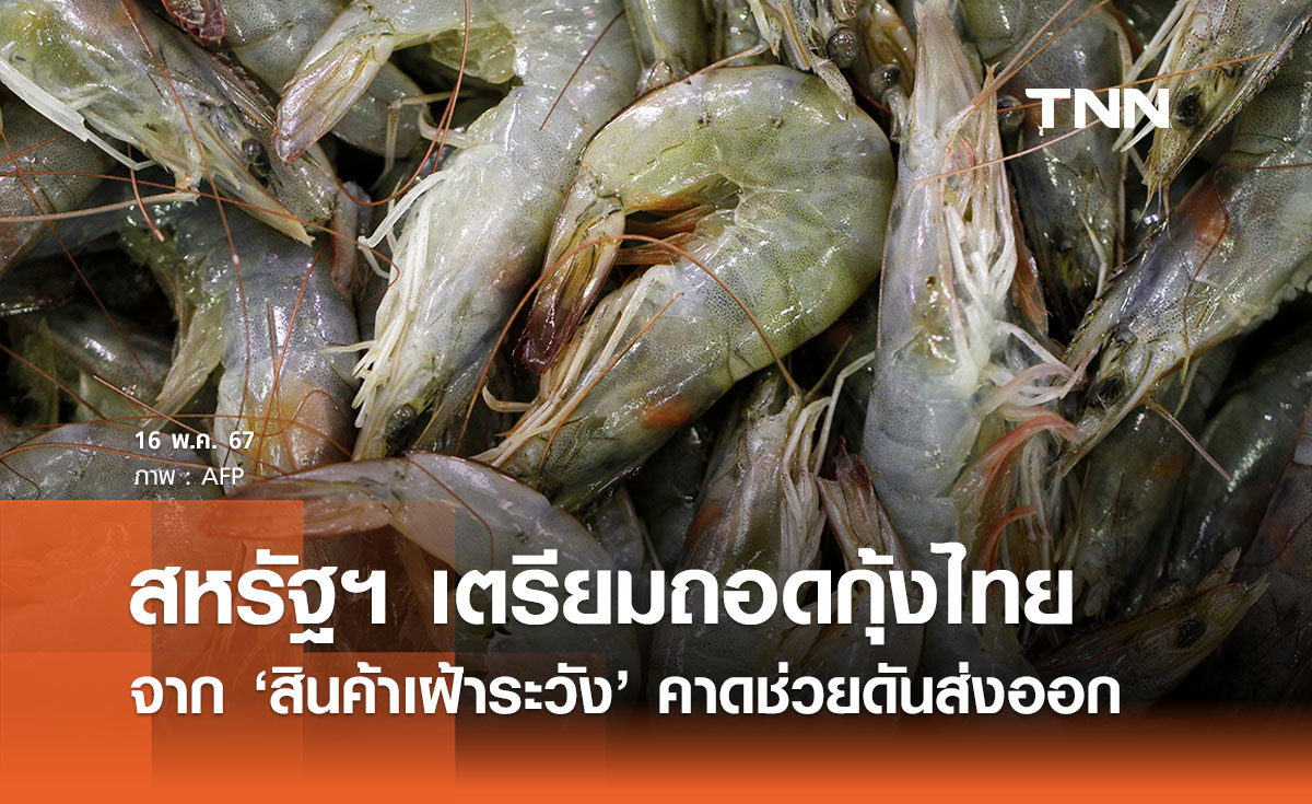 สหรัฐฯ เตรียมถอดกุ้งไทยจากสินค้าเฝ้าระวัง กู้ภาพลักษณ์ประมงไทย