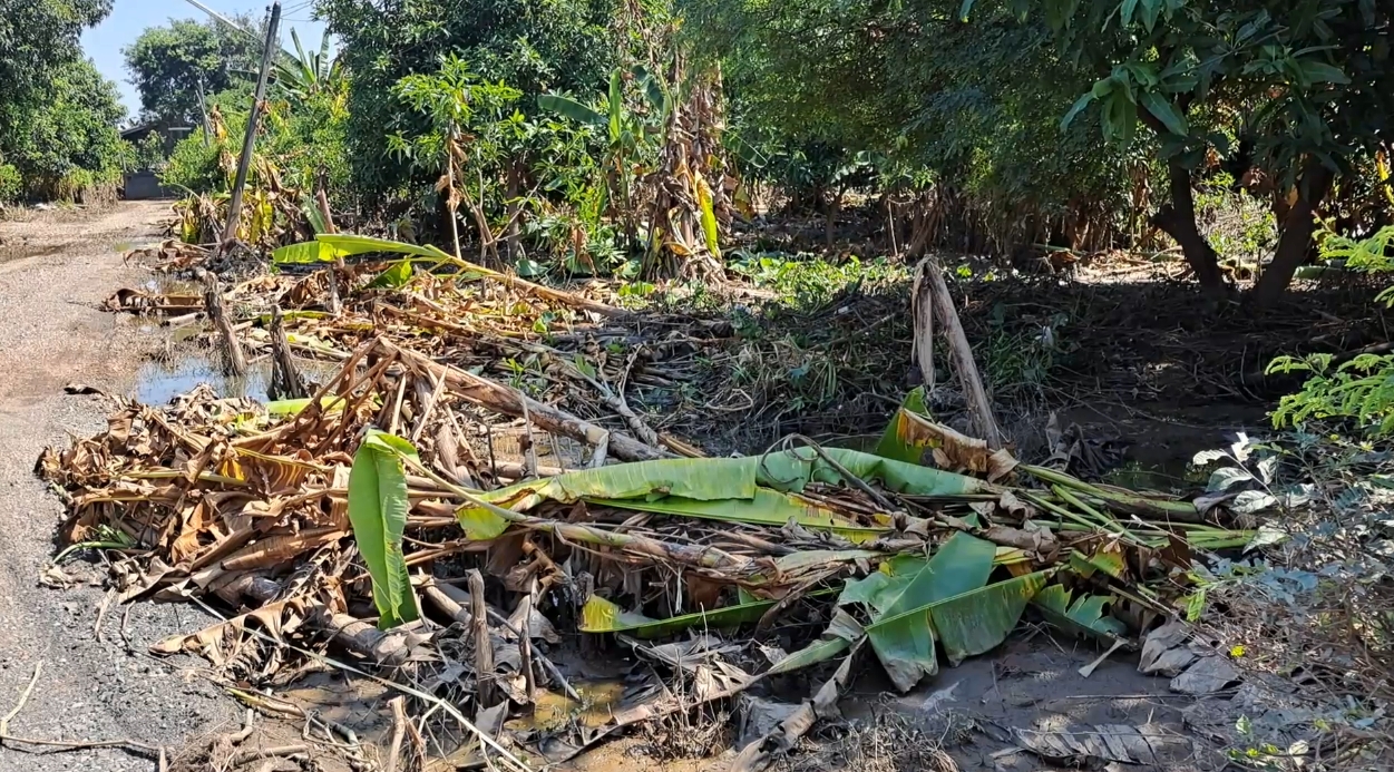 เปิดภาพมุมสูง เขื่อนเจ้าพระยา และร่องรอยความเสียหายหลังน้ำลด เปิดภาพมุมสูง เขื่อนเจ้าพระยา และร่องรอยความเสียหายหลังน้ำลด