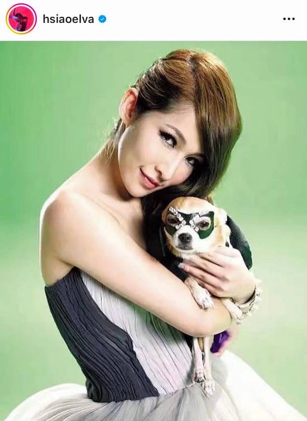 เผยหน้าสด!! ‘เอลวา เซียว’ หลังถูกสุนัขกัดที่ใบหน้ากว่า 1 ปี (มีคลิป)