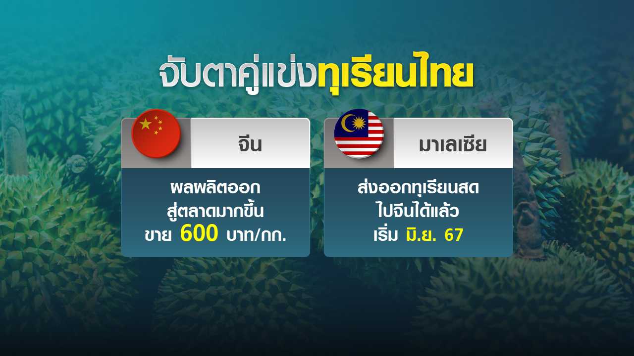 มาเลเซียคู่แข่งรายใหม่ “ทุเรียน” ตลาดจีน