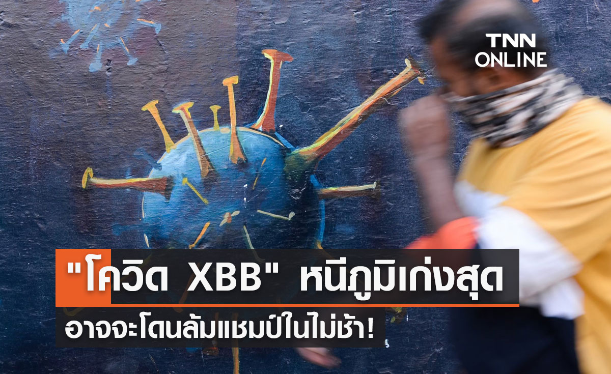 เปิดข้อมูลวิจัย "โควิด XBB" หนีภูมิเก่งสุด อาจจะโดนล้มแชมป์ในไม่ช้า!