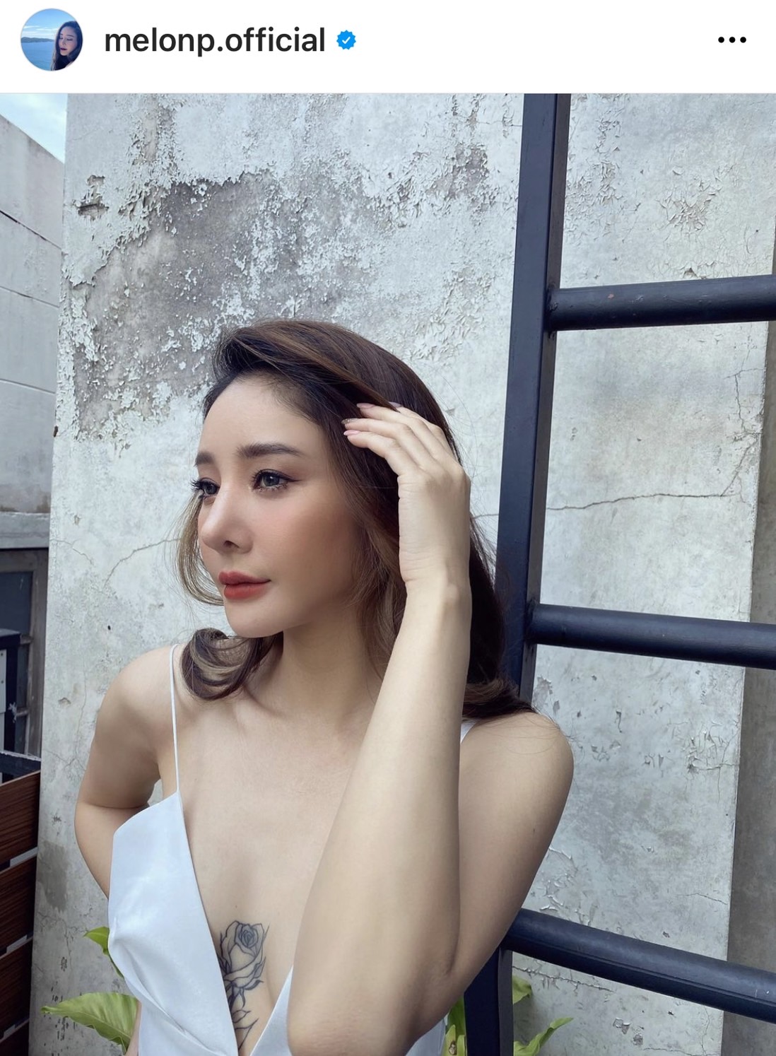 พูดอีกครั้ง!! โม - ฮิปโป - พุดเดิ้ล   หิวแสงหรือไม่ กับ คดีแตงโม