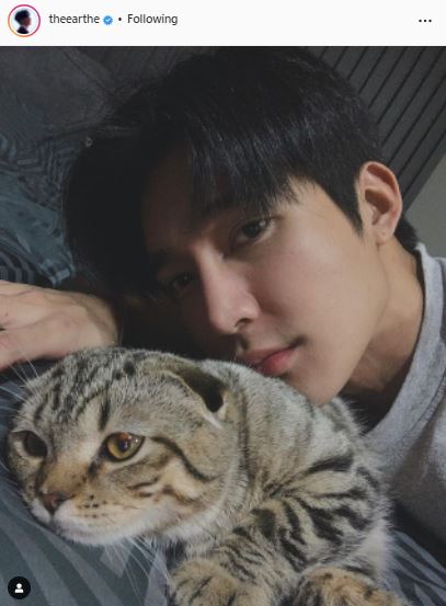 เอิร์ท พิรพัฒน์ รับเสียหายหลายแสน หลังเลี้ยงแมว เผย ตอนนี้ 3 ตัวพอแล้ว 