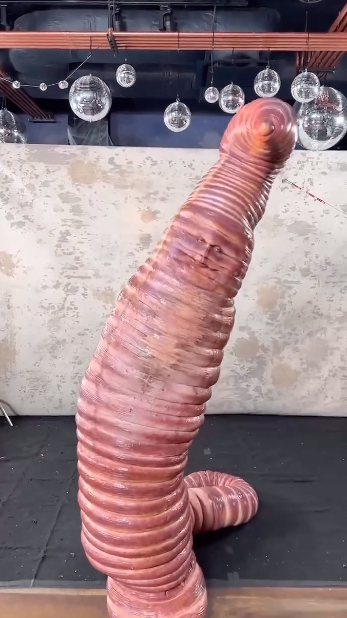 แห่แชร์ยกใหญ่!! ‘ไฮดี้ คลุม’ ลุคหนอนแอปเปิ้ลรับฮาโลวีน ‘อีลอน มัสก์’ ร่วมปาร์ตี้ แห่แชร์ยกใหญ่!! ‘ไฮดี้ คลุม’ ลุคหนอนแอปเปิ้ลรับฮาโลวีน ‘อีลอน มัสก์’ ร่วมปาร์ตี้