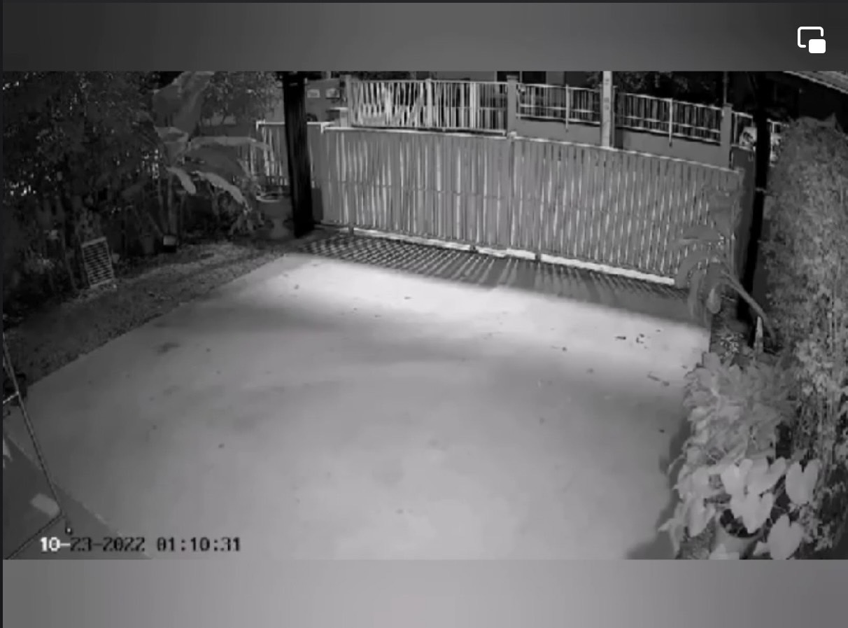 ตำรวจเตรียมออกหมายเรียก พระเอก ฟ. หลังบุกทุบรถ มินดา มีทรัพย์สิน ตำรวจเตรียมออกหมายเรียก พระเอก ฟ. หลังบุกทุบรถ มินดา มีทรัพย์สิน