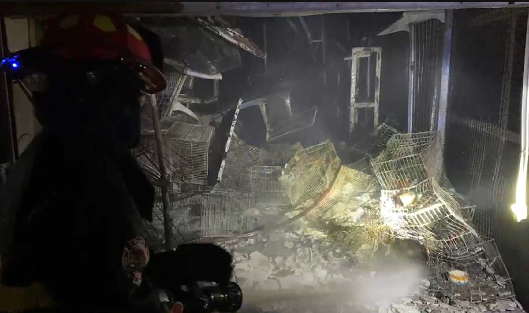 ไฟไหม้โซนสัตว์เลี้ยง ตลาดนัดจตุจักร วอด 118 ห้อง สัตว์ตายนับพันตัว! 