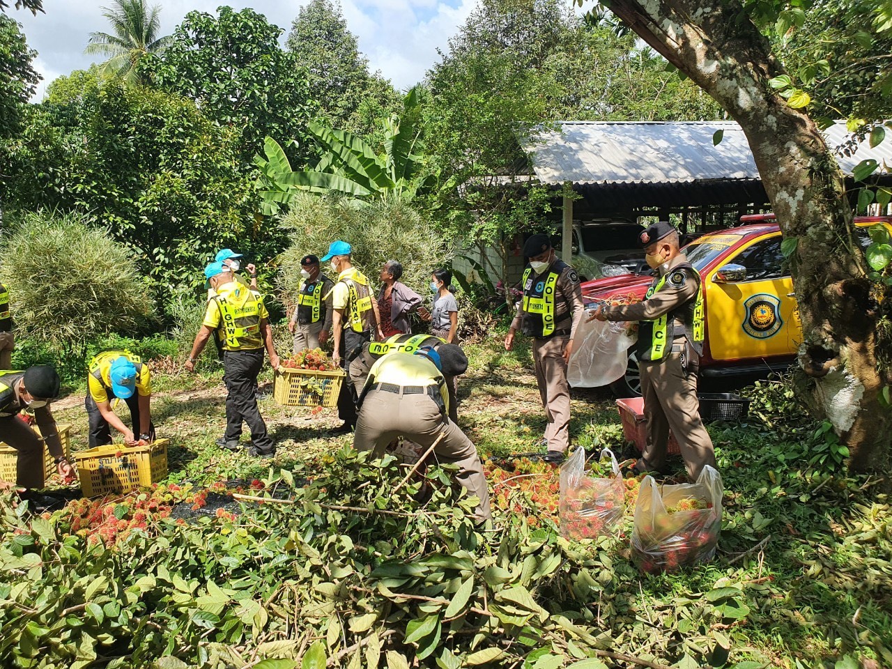 “ส่งต่อความสุข”ตร.ช่วยสองต่อ เกษตรกร-บุคลากรแพทย์ “ส่งต่อความสุข”ตร.ช่วยสองต่อ เกษตรกร-บุคลากรแพทย์