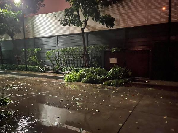 ระทึก!! โก้ ธีรศักดิ์ - บูม สุภาพร เจอฝนถล่ม บ้าน - รถ เสียหาย ระทึก!! โก้ ธีรศักดิ์ - บูม สุภาพร เจอฝนถล่ม บ้าน - รถ เสียหาย