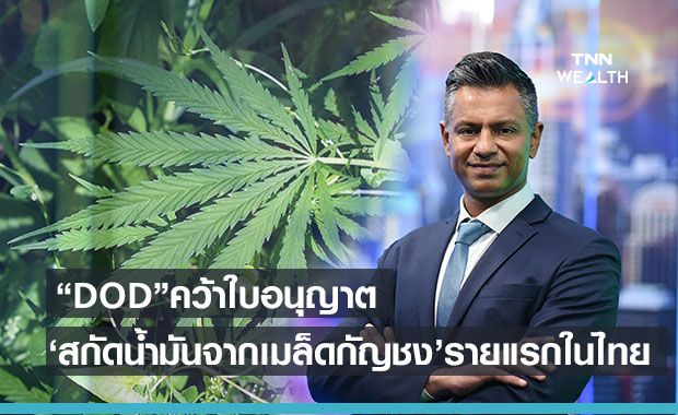 "DOD"คว้าใบอนุญาต"สกัดน้ำมันจากเมล็ดกัญชง"รายแรกของไทย