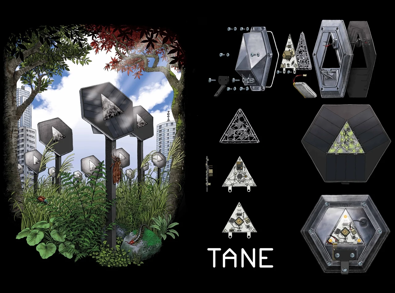 Tane งานศิลปะที่พึ่งพาตนเองได้ แถมเป็นสิ่งมีชีวิตในเวลาเดียวกัน !? Tane งานศิลปะที่พึ่งพาตนเองได้ แถมเป็นสิ่งมีชีวิตในเวลาเดียวกัน !?