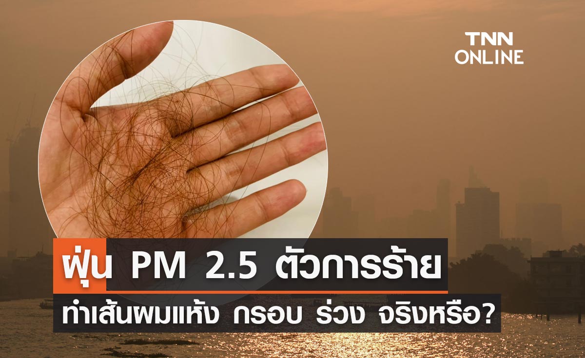 ฝุ่น PM 2.5 ตัวการร้ายทำลายเส้นผมให้แห้ง กรอบ ร่วง จริงหรือ?