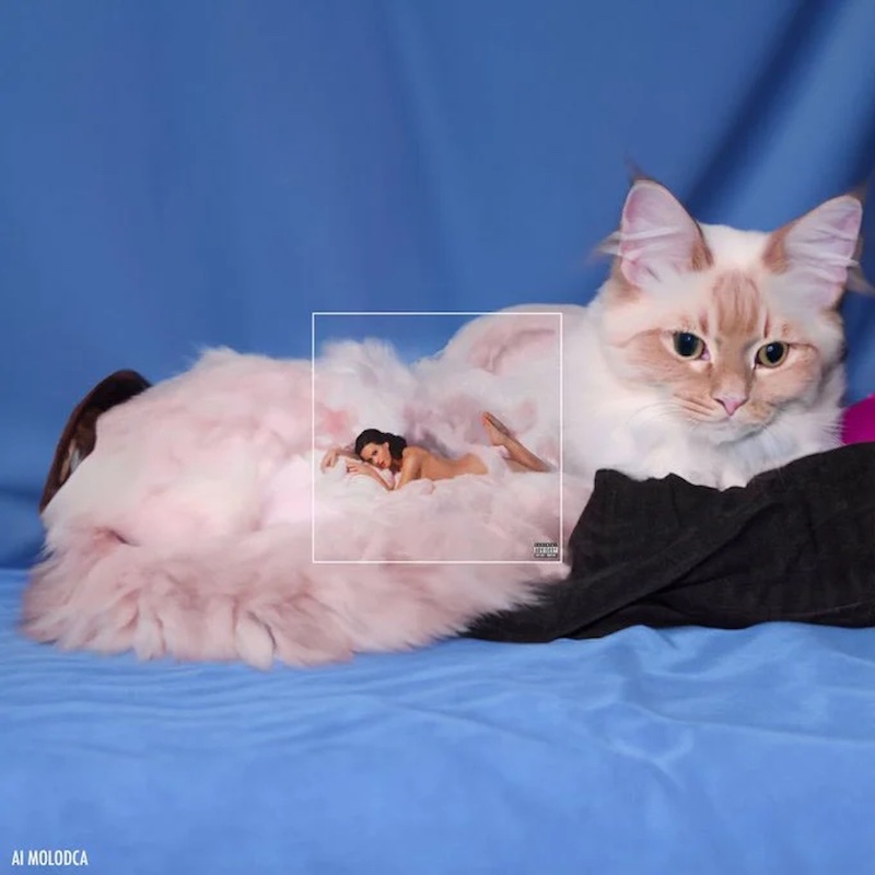 Adobe เปิดให้ใช้เครื่องมือ AI 'Generative Fill' เติมเต็มภาพให้สมบูรณ์ Adobe เปิดให้ใช้เครื่องมือ AI 'Generative Fill' เติมเต็มภาพให้สมบูรณ์