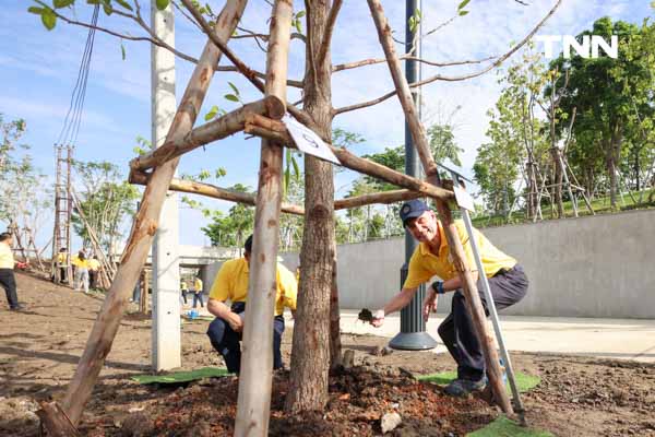 เฉลิมพระเกียรติ พระบาทสมเด็จพระเจ้าอยู่หัว ปลูกต้นไม้มงคลเฉลิมพระชนมพรรษาครบ 6 รอบ
