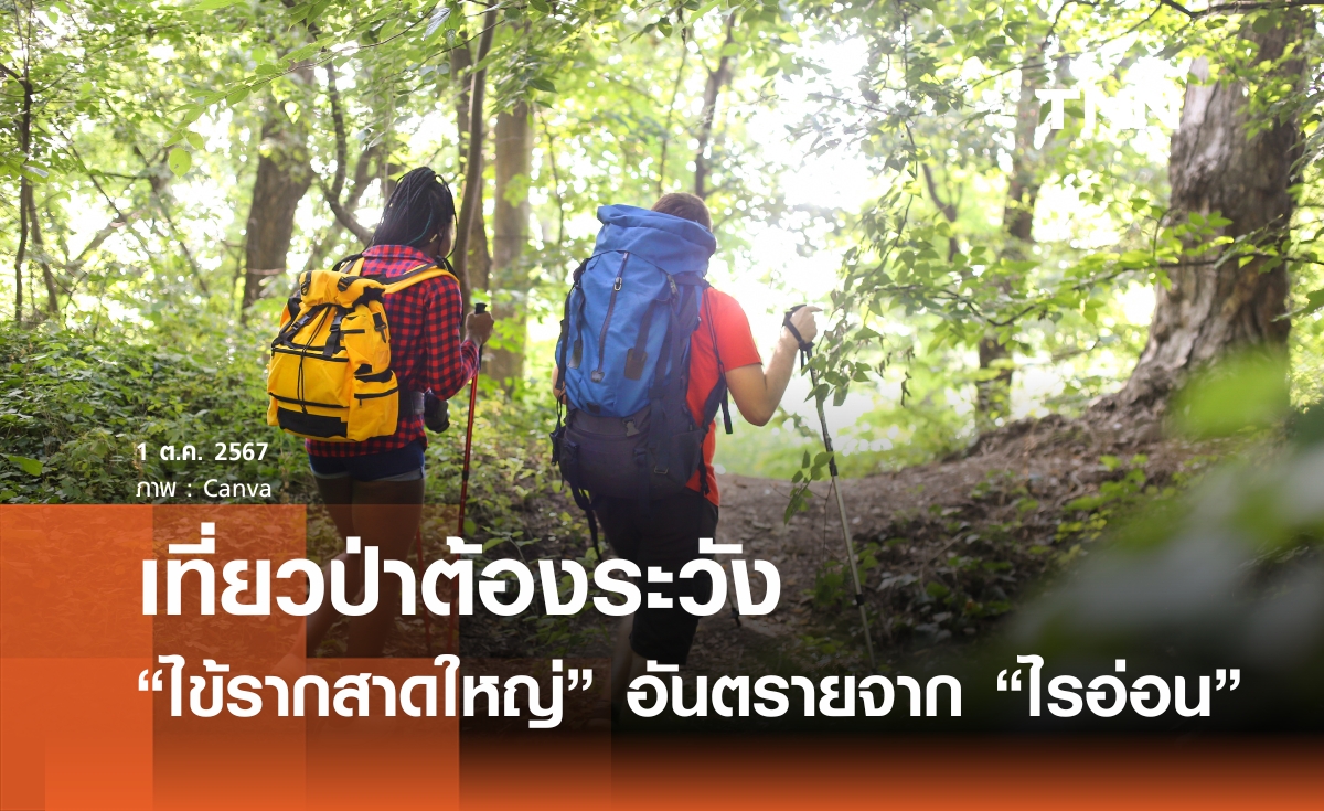 เที่ยวป่าต้องระวัง "ไข้รากสาดใหญ่" เชื้ออันตรายจาก "ตัวไรอ่อน" 