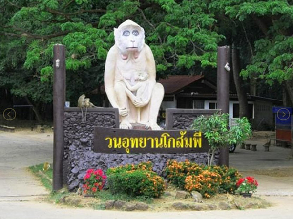 9 ที่เที่ยวมหาสารคาม 2565 ม่วนซื่นถิ่นอีสาน สัมผัสธรรมชาติเต็มอิ่ม 9 ที่เที่ยวมหาสารคาม 2565 ม่วนซื่นถิ่นอีสาน สัมผัสธรรมชาติเต็มอิ่ม