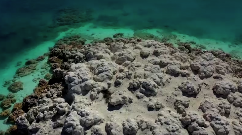 แร่ทะเลสาบตุรกีตรงกับหินดาวอังคาร จ่อใช้เป็นแบบศึกษาสิ่งมีชีวิตยุคเก่านอกโลก แร่ทะเลสาบตุรกีตรงกับหินดาวอังคาร จ่อใช้เป็นแบบศึกษาสิ่งมีชีวิตยุคเก่านอกโลก