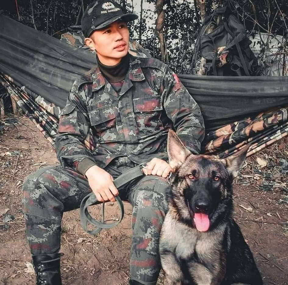 ยกย่อง ‘เจ้าโลฮาน’ สุนัขทหารรับกระสุนผู้ก่อการร้าย 3จว.ใต้บาดเจ็บ