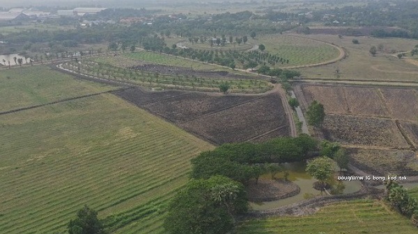 ตั๊ก บงกช เริ่มจริงจังกับการเกษตรแบบออร์แกนิค (มีคลิป)