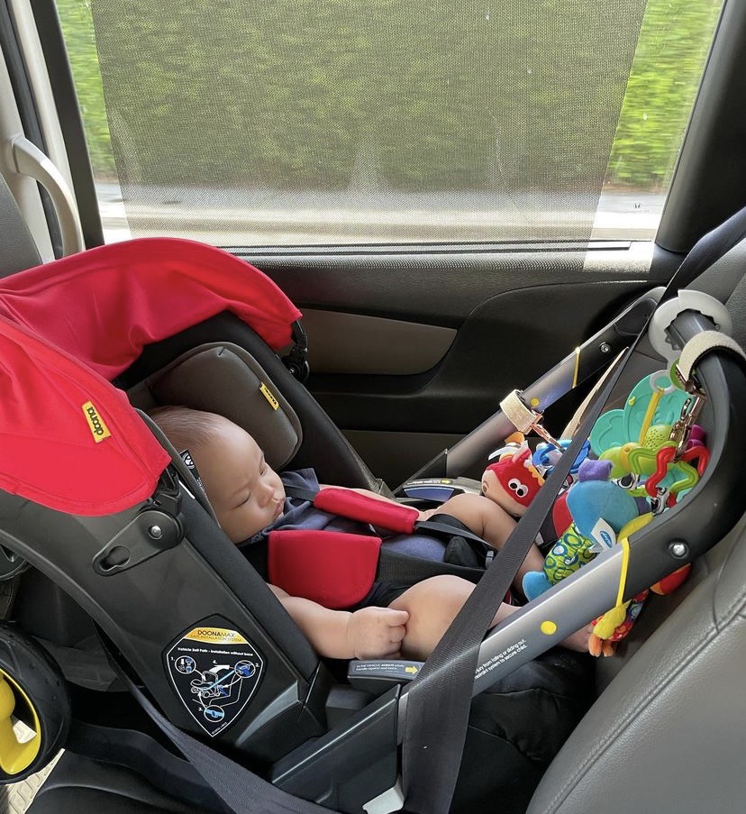 สามีไม่ชอบ แต่ นาตาลี ยังพาแมวไปแอลเอเพราะ? พร้อมอวดภาพสุดประทับใจ สามีไม่ชอบ แต่ นาตาลี ยังพาแมวไปแอลเอเพราะ? พร้อมอวดภาพสุดประทับใจ