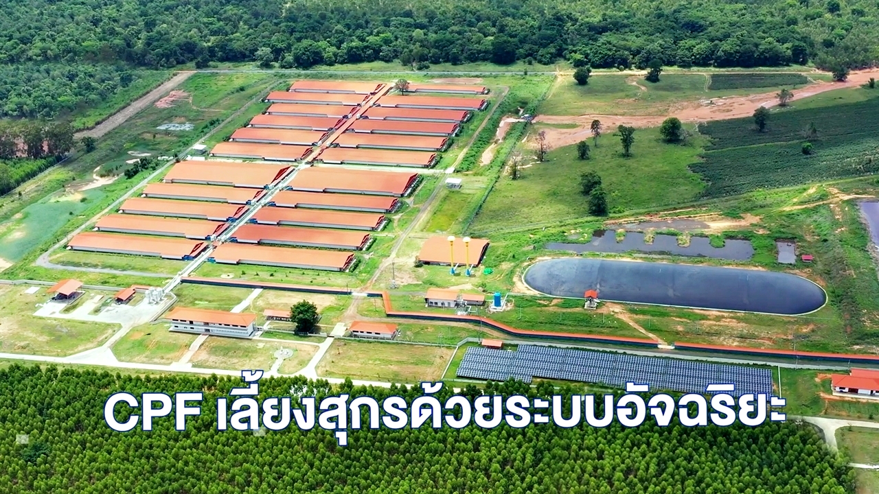 ซีพีเอฟ ถ่ายทอดระบบ “ฟาร์มอัจฉริยะ ดันเกษตรกรคอนแทรคฟาร์มมิ่ง