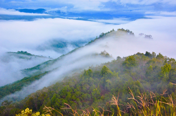 10 ที่เที่ยวยะลา 2565 สัมผัสหมอกปลายด้ามขวาน เมืองที่คุณต้องห้ามพลาด 10 ที่เที่ยวยะลา 2565 สัมผัสหมอกปลายด้ามขวาน เมืองที่คุณต้องห้ามพลาด