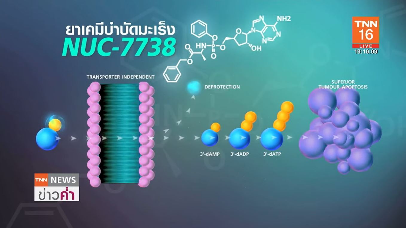 นักวิจัยอังกฤษ สกัด ยาเคมีบำบัดถั่งเช่า รักษามะเร็งในคนไข้เชื้อลุกลามได้ผลดี