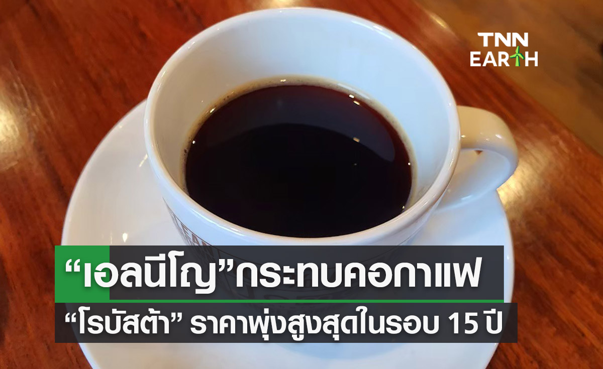 “เอลนีโญ” กระทบคอกาแฟ โรบัสต้า ราคาพุ่งสูงสุดในรอบ 15 ปี 