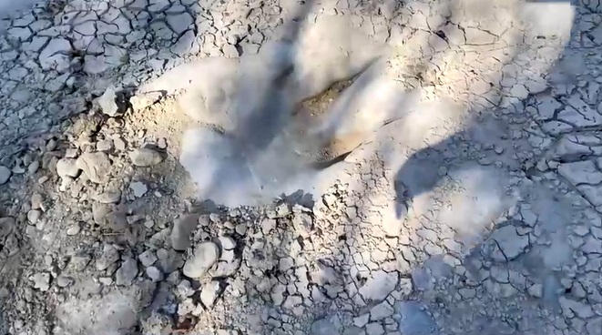 เปิดภาพ รอยเท้าไดโนเสาร์ อายุ 113 ล้านปี โผล่กลางแม่น้ำในเทกซัส!