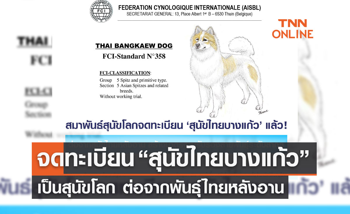 ข่าวดี! จดทะเบียน “สุนัขไทยบางแก้ว” เป็นสุนัขโลก ต่อจากพันธุ์ไทยหลังอาน
