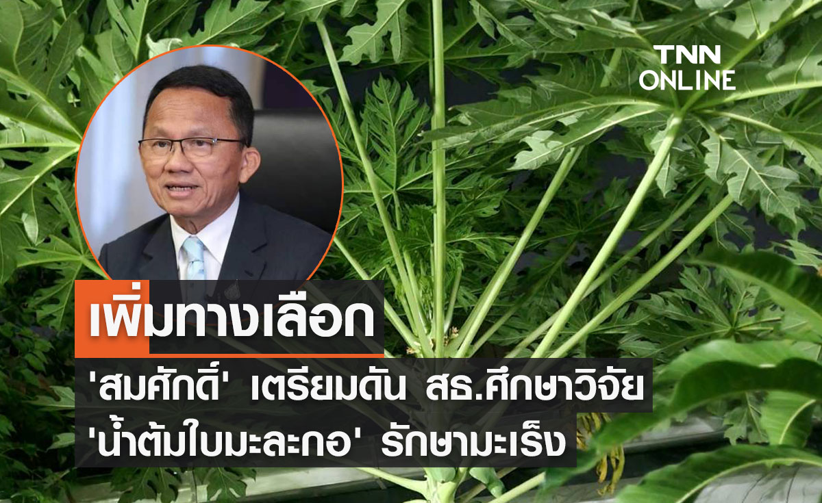 "สมศักดิ์" เตรียมดัน สธ.ศึกษาวิจัย "น้ำต้มใบมะละกอ" รักษามะเร็ง