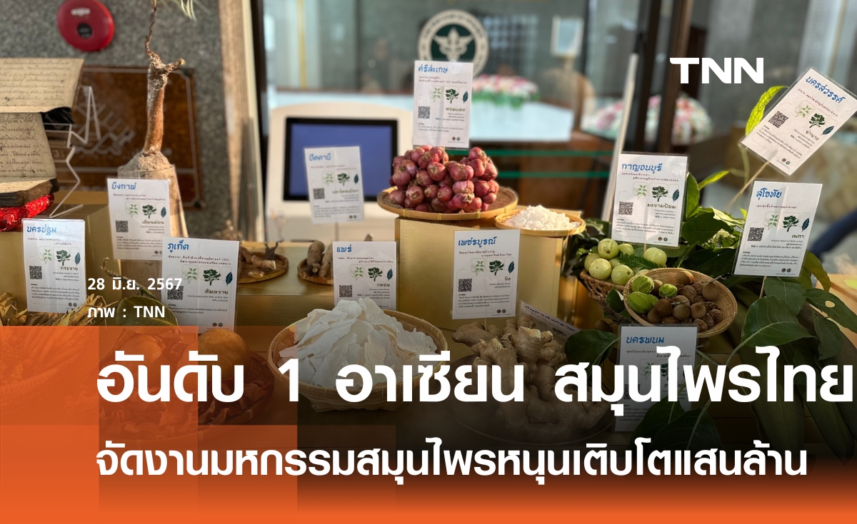 ไทยอันดับ 1 อาเซียน มูลค่าสมุนไพร ส่งออกกว่า 6,600 ล้านต่อปี 