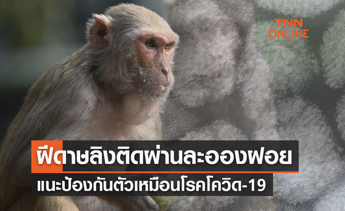 ฝีดาษลิง ติดต่อจากละอองฝอยได้ แต่ไม่ง่ายเหมือนโควิด