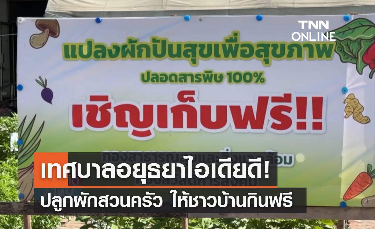 เทศบาลอยุธยาไอเดียดี! ปลูกผักสวนครัว ให้ชาวบ้านกินฟรี 