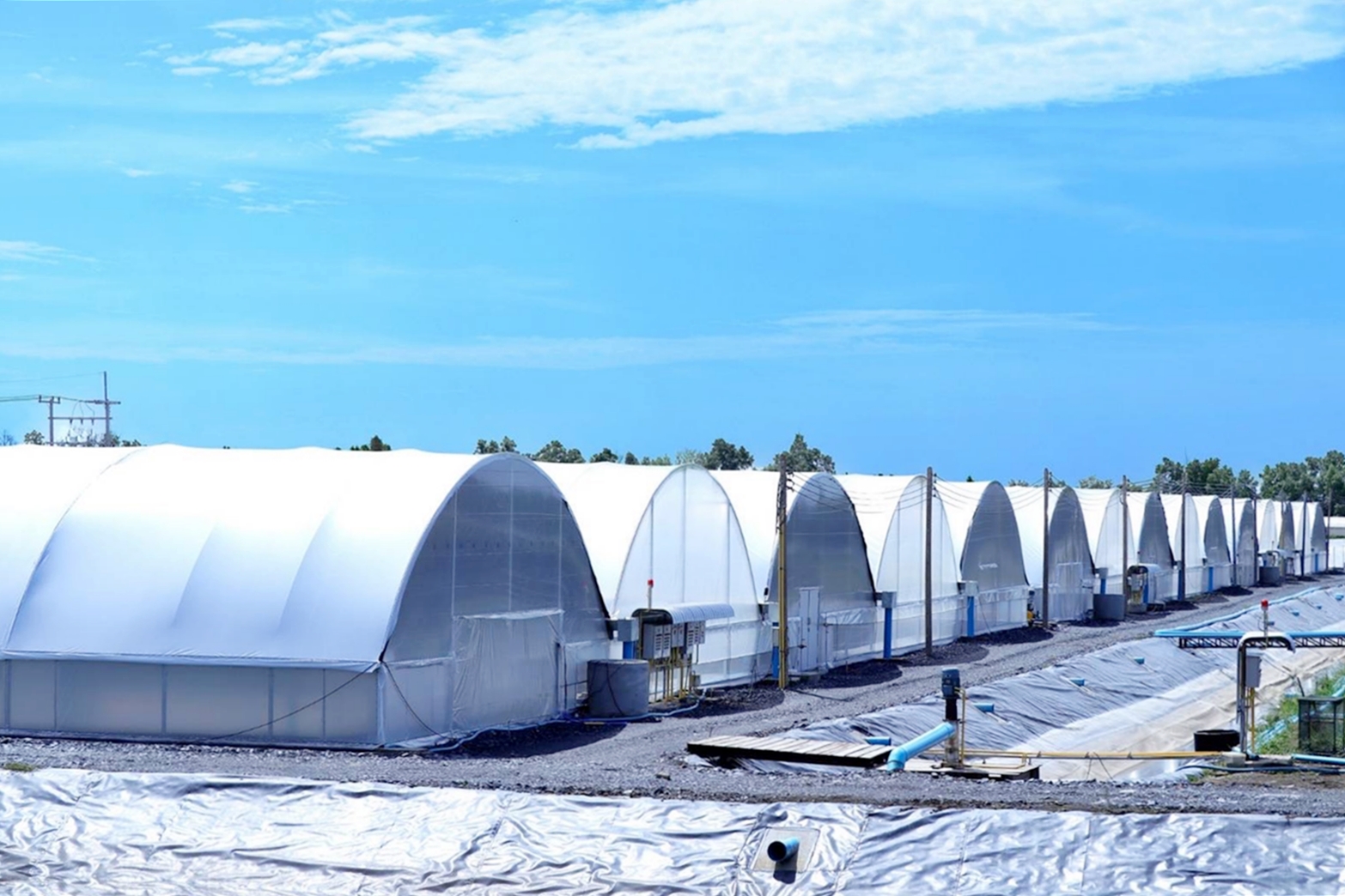 นักวิชาการ CPF ชู “โปรไบโอติก” นวัตกรรมการเลี้ยงกุ้งปลอดภัย ปลอดโรค ปลอดสาร นักวิชาการ CPF ชู “โปรไบโอติก” นวัตกรรมการเลี้ยงกุ้งปลอดภัย ปลอดโรค ปลอดสาร