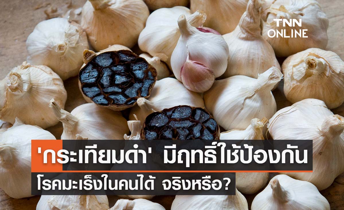 จริงหรือ? "กระเทียมดำ" มีฤทธิ์ใช้ป้องกันโรคมะเร็งในคนได้