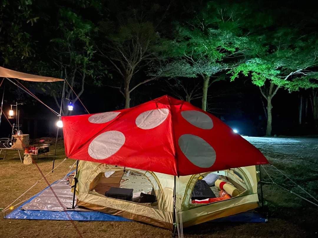 เขาเขียวชวนกางเต็นท์-ส่องสัตว์ ชาวเน็ตแซวไม่ถูกกินแน่นะวิ เขาเขียวชวนกางเต็นท์-ส่องสัตว์ ชาวเน็ตแซวไม่ถูกกินแน่นะวิ