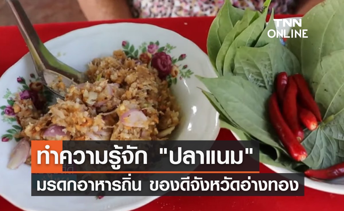 ทำความรู้จัก "ปลาแนม" มรดกอาหารถิ่น จ.อ่างทอง ของดีที่ต้องลอง